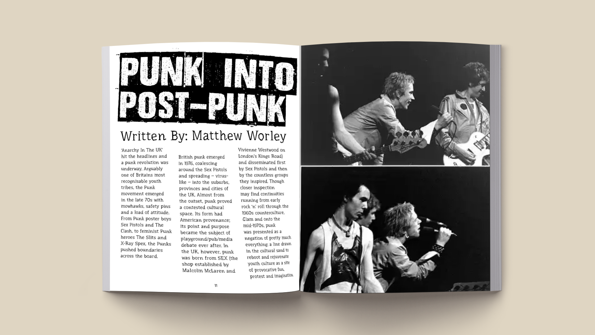 Punk Wont Die; Spread Mockup